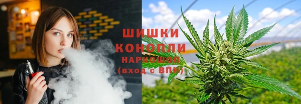 шишки Нефтекумск
