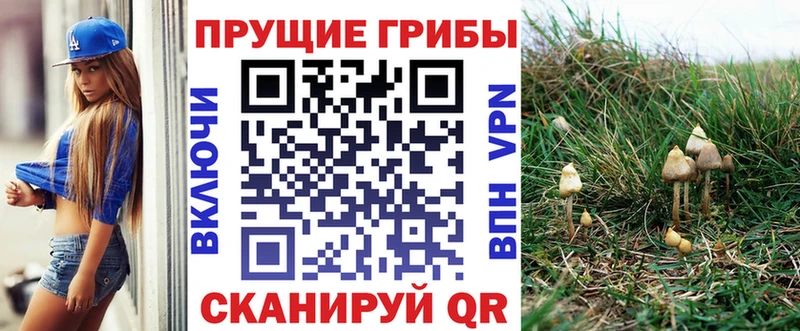 Псилоцибиновые грибы мухоморы  где купить наркоту  Новомичуринск 